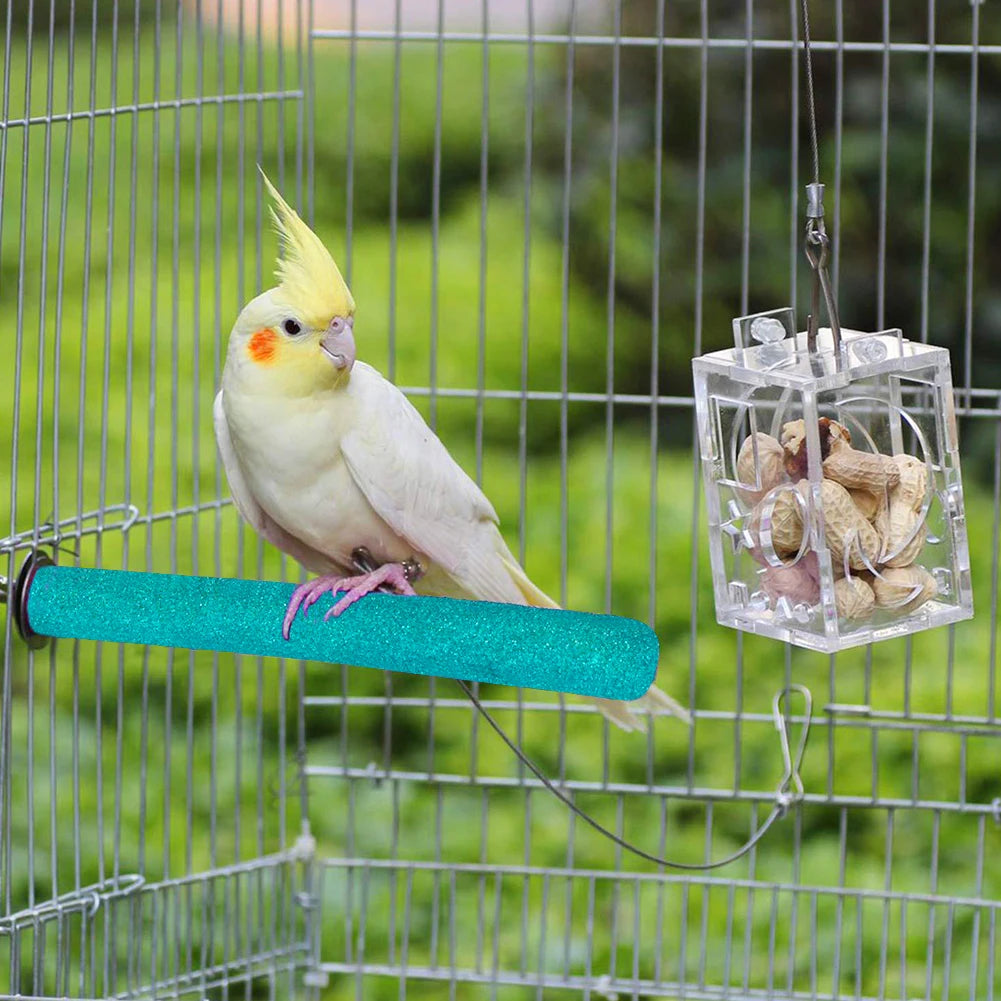 olorful natural wood bird perch with a textured sand coating, designed for claw grinding and beak health. Ideal for small pet birds like budgies, cockatiels, lovebirds, and finches, as well as small pets like hamsters and squirrels. Available in 10cm and 20cm sizes, this durable perch helps with chewing, exercise, and mental stimulation.